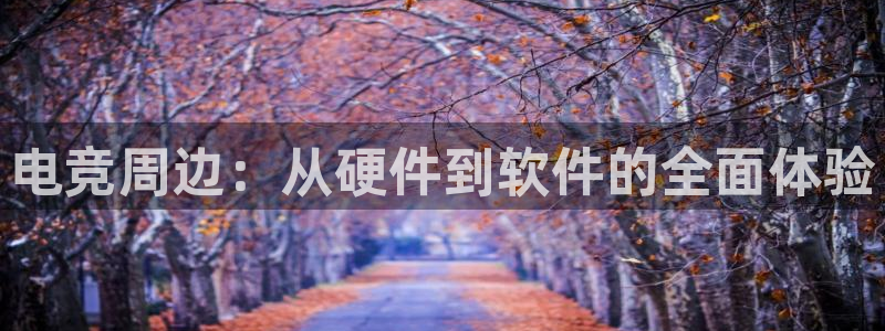 db电竞下载：电竞周边：从硬件到软件的全面体验