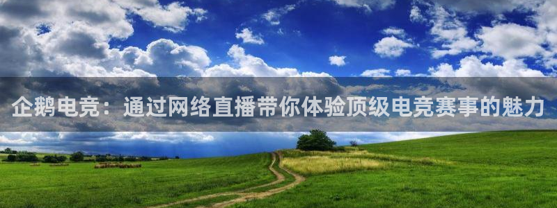 db电竞是什么软件：企鹅电竞：通过网络直播带你体验顶级电竞赛事的魅力