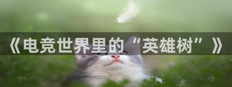db电竞登陆：《电竞世界里的“英雄树”》